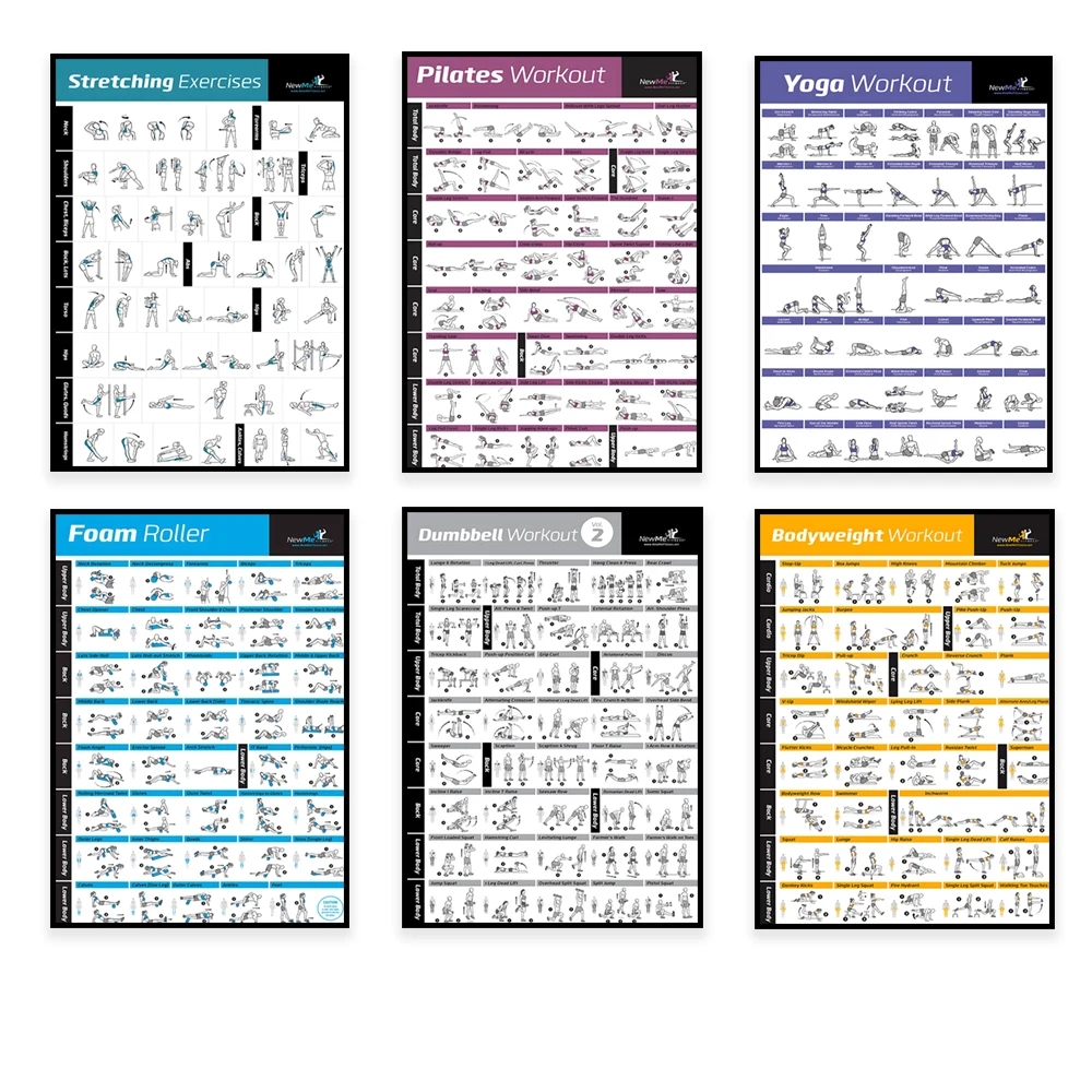 Body Exercise Training Chart W - Home Decor Essentials ulasan dan harga