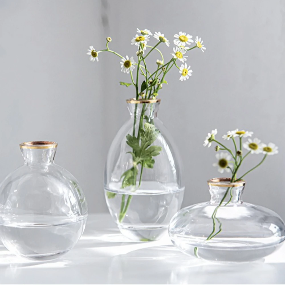 Nordic Transparent Glass Vase  - Glass Vase Nordic ulasan dan harga
