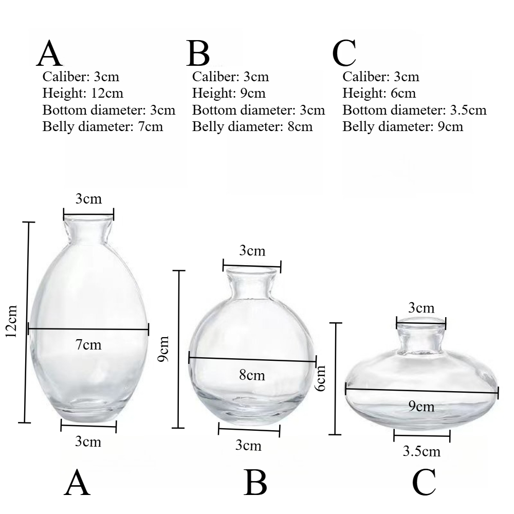 Nordic Transparent Glass Vase  - Glass Vase Nordic ulasan dan harga