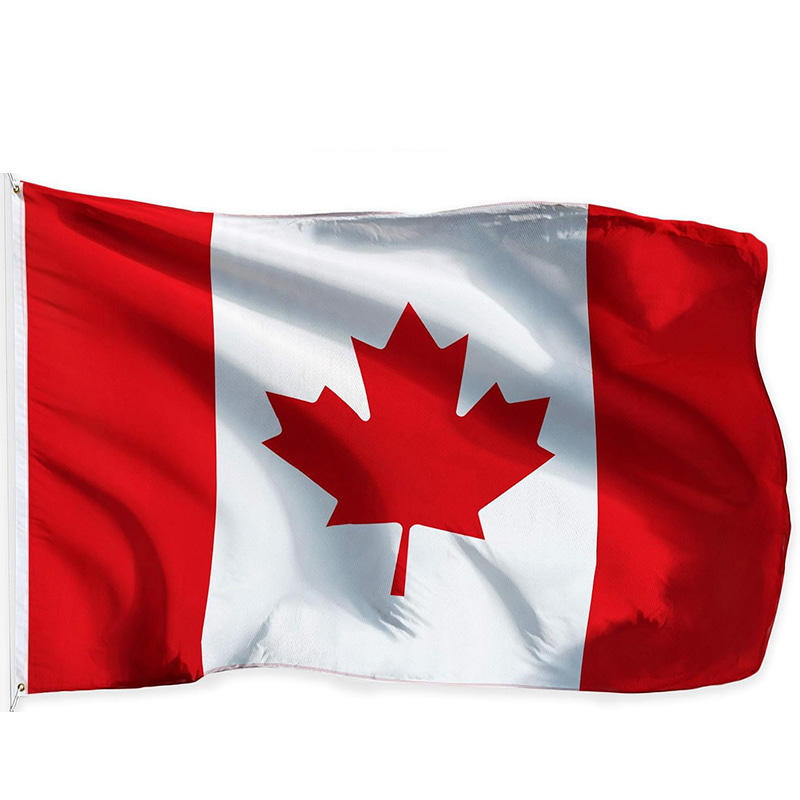 2026 World Group B Canada Bosn - Home Decor Qatar ulasan dan harga